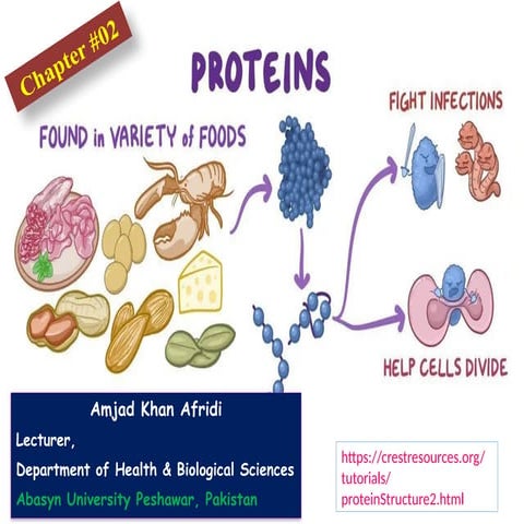 Introduction to Proteins , its importance and four level structure of proteins