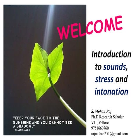 Sounds stress and intonation in the English language