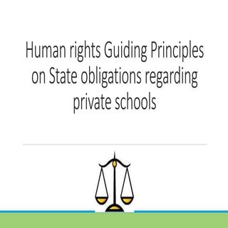 Human Rights Guiding Principles on ...