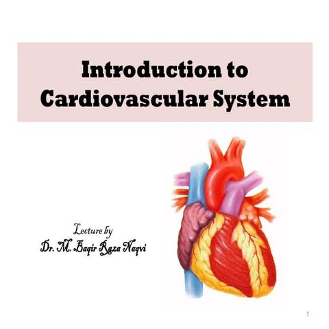 Introduction to the CVS (Cardiovascular System) pptx