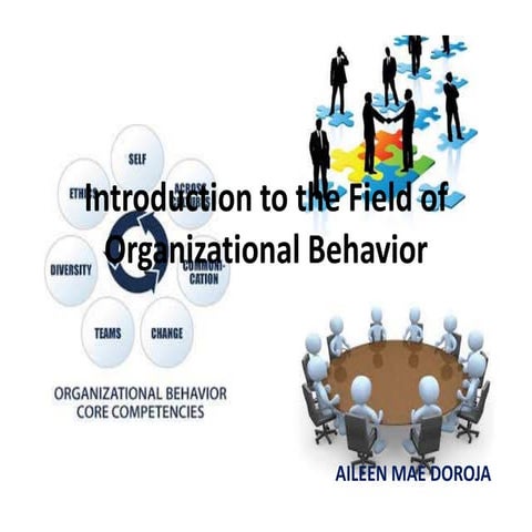 Introduction to the field of organizational behavior