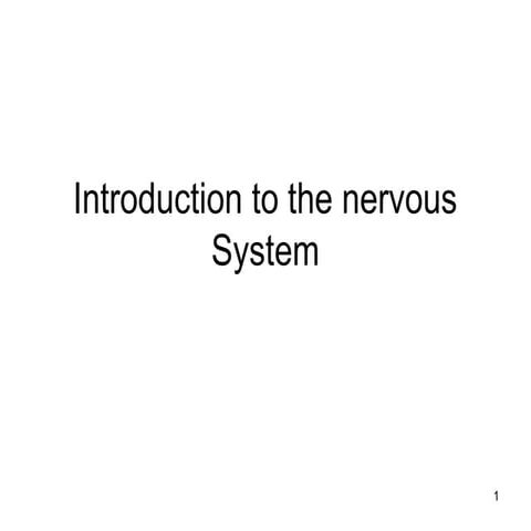 Introduction to the nervo+.pptgukhfdgjkf