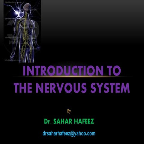 Introduction to the nervous system
