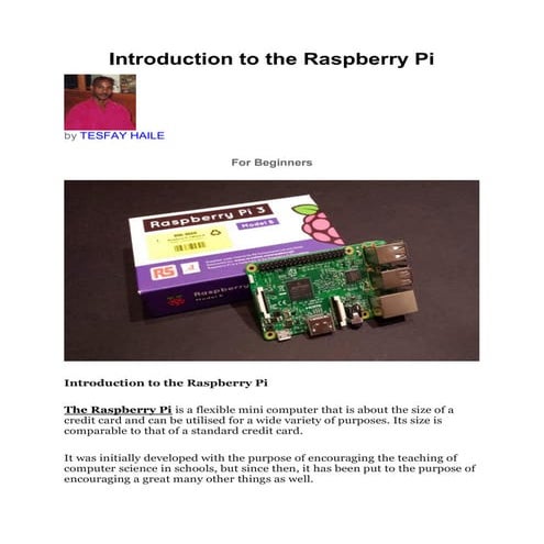 Introduction to the Raspberry Pi | PDF