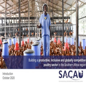 Introduction to the SACAU poultry solution