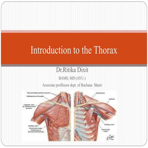 Introduction to thorax