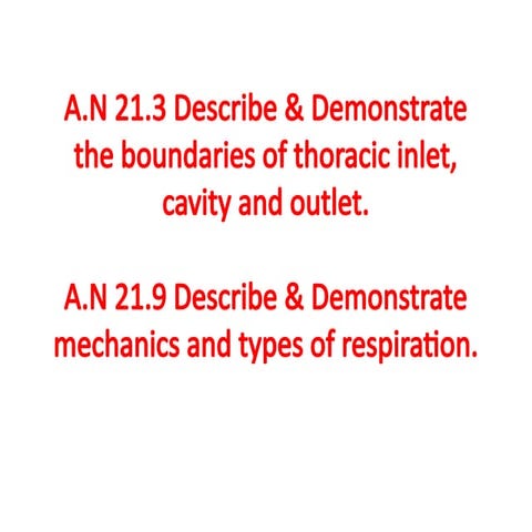 Introduction to thorax | PPTX