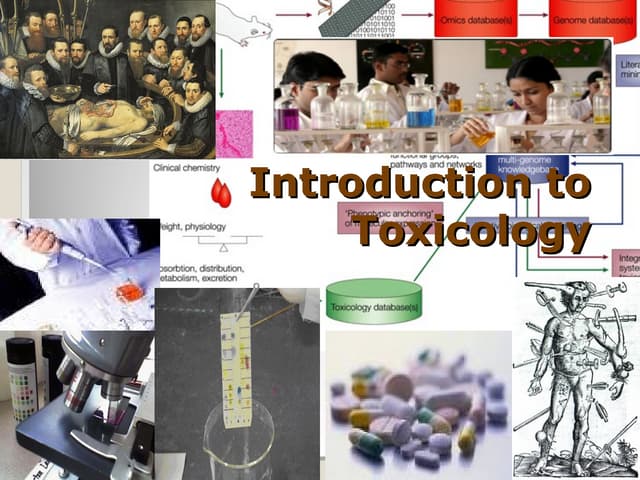 Introduction to toxicology gases and metals