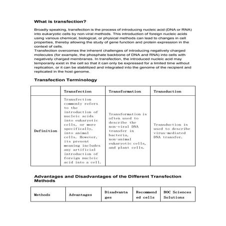 Introduction to Transfection.pdf
