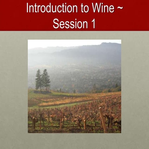 Introduction to Wine | PPTX