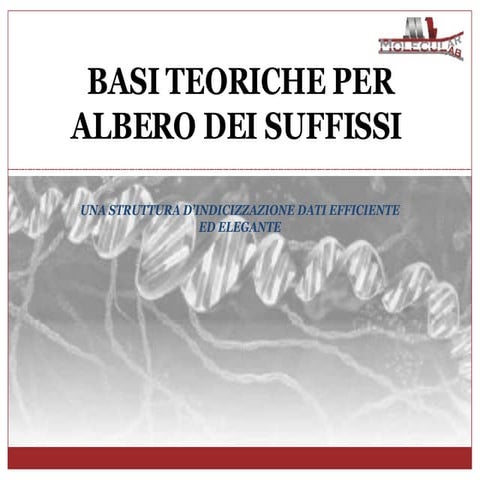 introduzione all'abero dei suffissi PPT