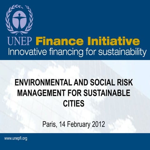 ENVIRONMENTAL AND SOCIAL RISK MANAGEMENT FOR SUSTAINABLE CITIES | PDF