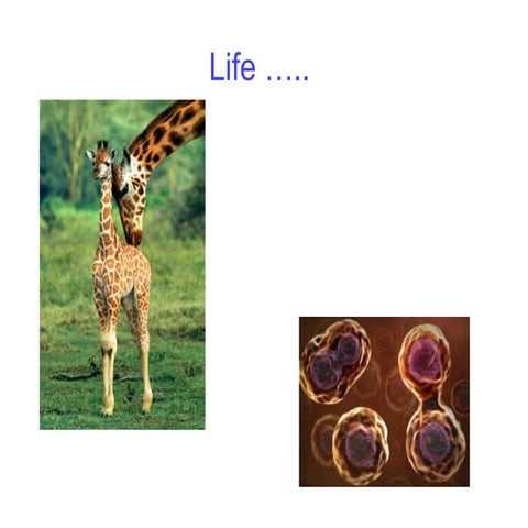 2. The Connections and Interactions Among Living Things.pptx