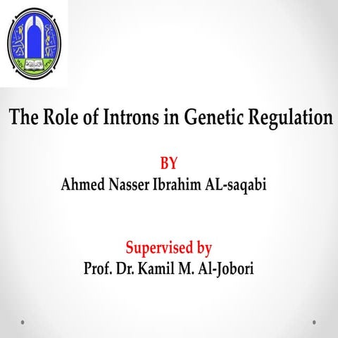 The Role of Introns in Genetic Regulation