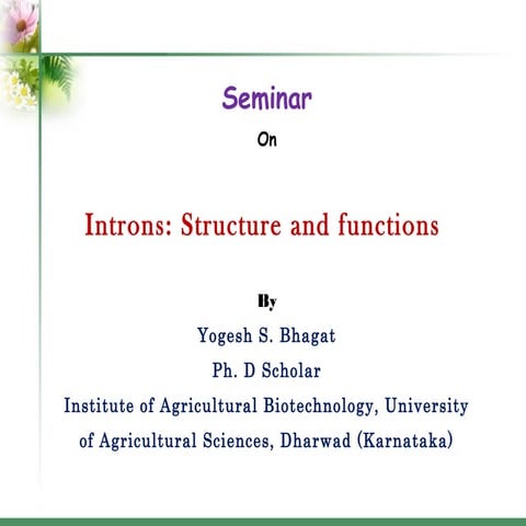 Introns: structure and functions