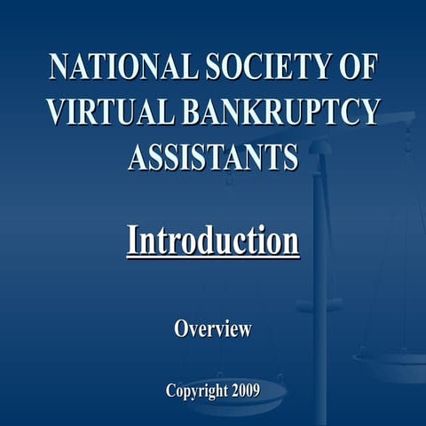 Intro NSVBA And The VBA