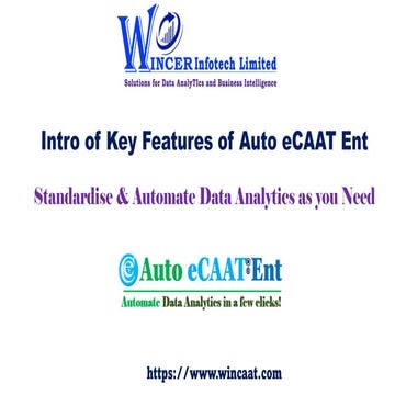 Intro of Key Features of Auto eCAAT Ent Software