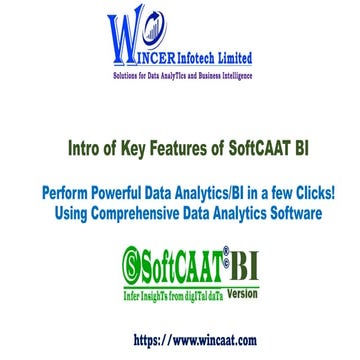 Intro of Key Features of SoftCAAT BI Software