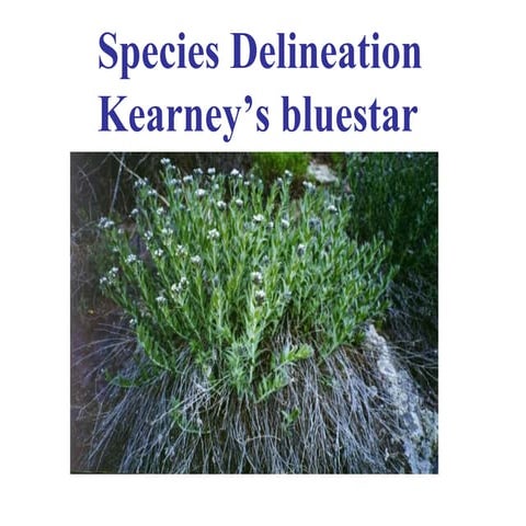 Intro powerpoint slide share