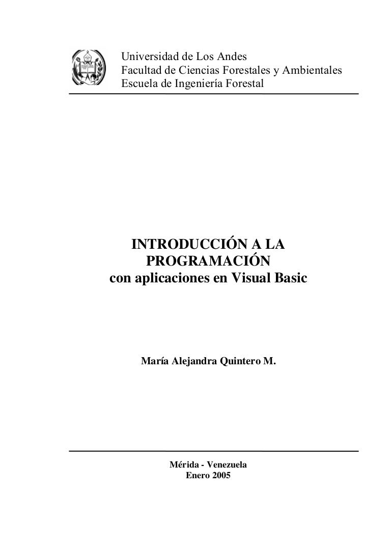 El Interfaz De Visual Basic Se Conoce Como Introduccion a la Programacion Visual Basic subido JHS