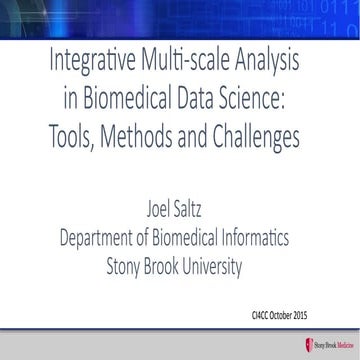 Integrative Multi-Scale Analysis in Biomedical Data Science: Tools, Methods a...
