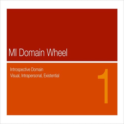 Introspective Domain