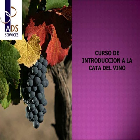 Introsuccion a la cata