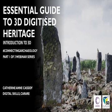 Essential guide to 3D digitised heritage: Introduction to 3D