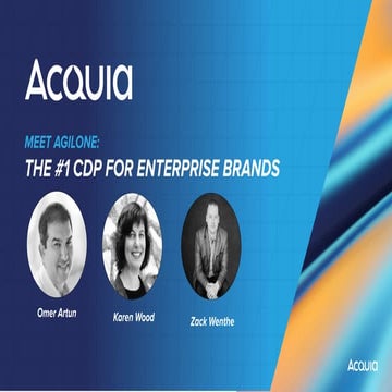 Meet AgilOne: The #1 CDP for Enterprise Brands