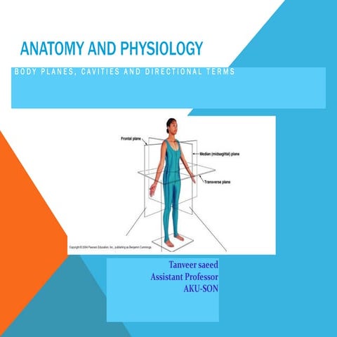 Intro  to a  p ts 2013 stds