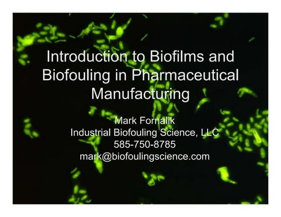 Biofilms | PPT