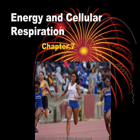 Intro to cellular resp