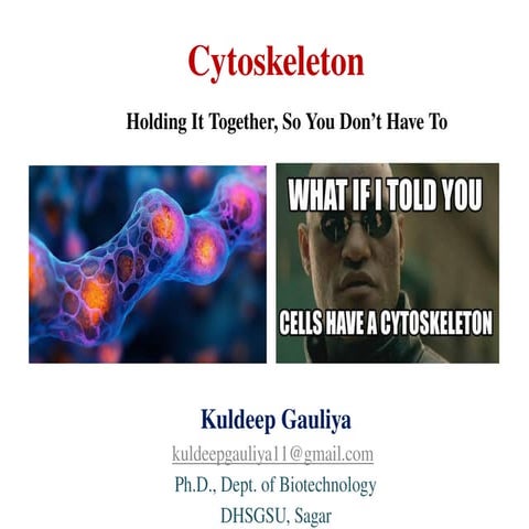 Introduction to Cytoskeleton and Cell Matrix Interaction