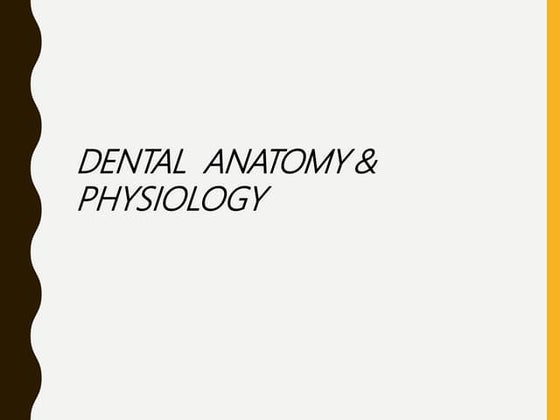 Tooth Anatomy Ppt Free Anatomy PowerPoint Templates & Google Slides