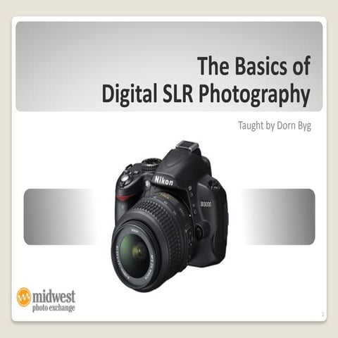 Intro to digital photography (the basics) 