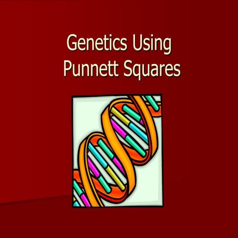 Intro to genetics