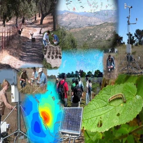 Introduction to Geography - Disciplines and Ideas in Social Sciences