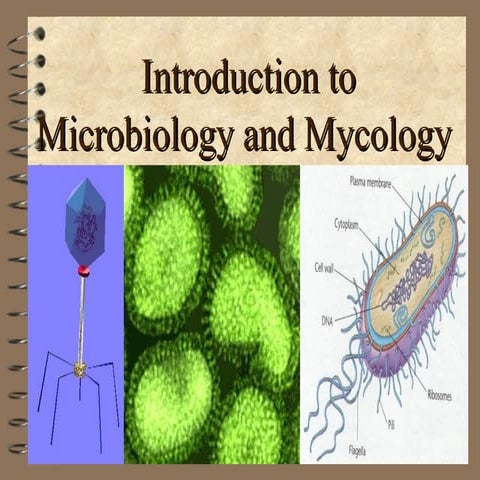Intro to microbiology and bacteriology