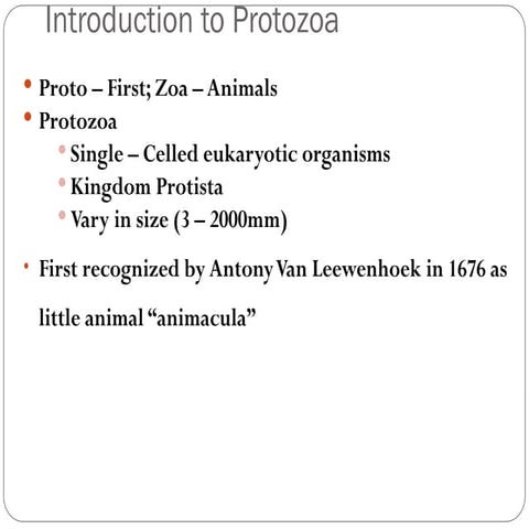 Introduction to protozoa (2).ppt for all medicals
