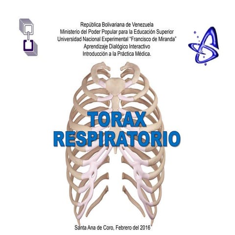 Torax Respiratorio