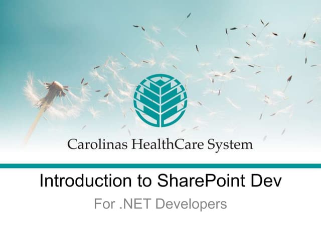 Introduction to SharePoint Developer