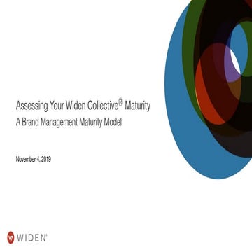 Intro to the Brand Management Maturity Model | PDF