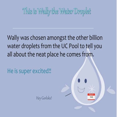 Intro to the pool online training fa20