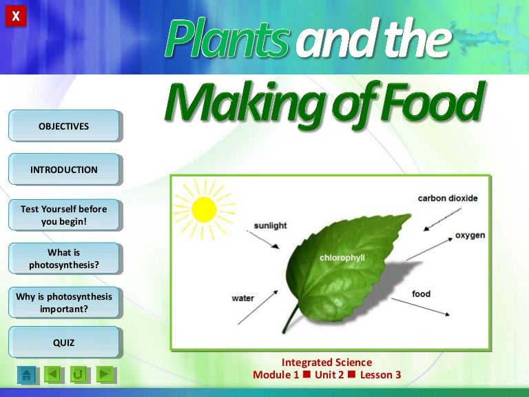 Integrated Science M1 plants and the making of food