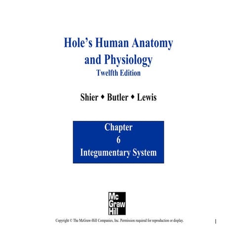 Intugmentary System.pptx