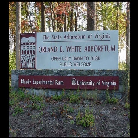 Blandy Experimental Farm