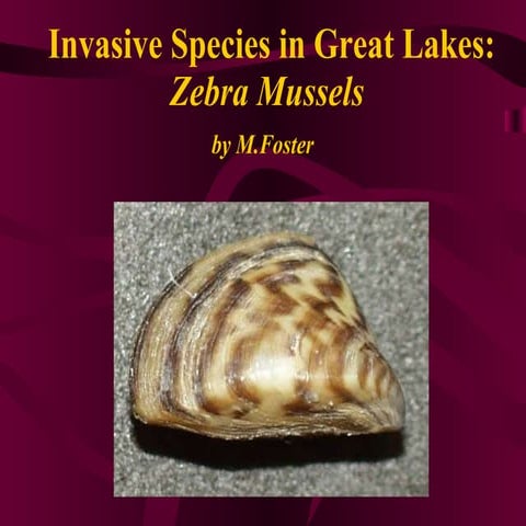 Invasives