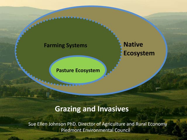 Grazing and Invasives