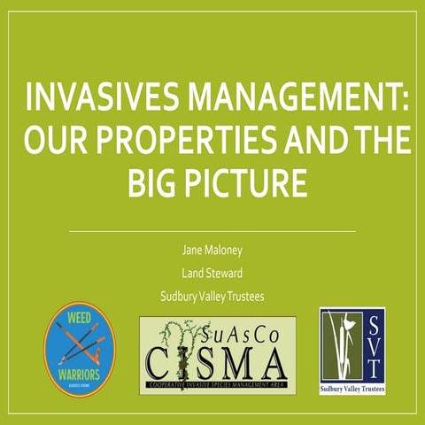 Invasives Management-Big Picture-MCD.pdf
