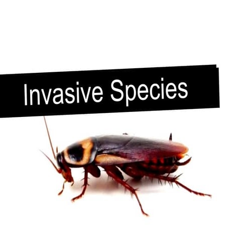 Grade 9-U3-L9-Invasive species